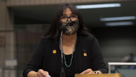 Panelist testifies