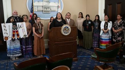 Assemblymember Ramos Hosts Press Conference 