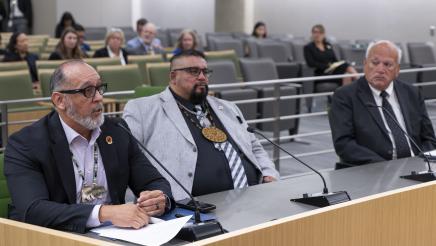  Joint Committee on Legislative Audit and the Select Committee on Native American Committee