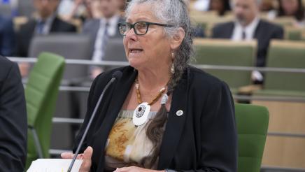 Joint Committee on Legislative Audit and the Select Committee on Native American Committee
