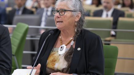  Joint Committee on Legislative Audit and the Select Committee on Native American Committee